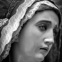 la.galeria.de.una.devota