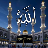 original sound - voice_of_mr_tamim_30
