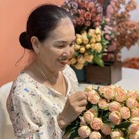 nhạc nền - Tỵ nguyễn