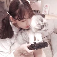 _kaimyun_