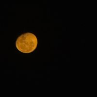 ale_21_51