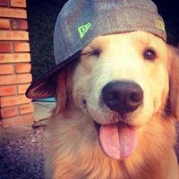 livesinprettygirlave