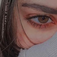 zmn__96