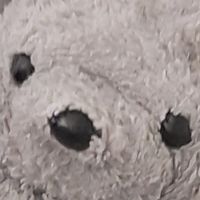 thebear5757