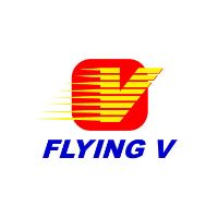 original sound - OfficialFlyingV