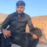 musa.zohaib._