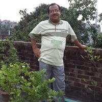 syed.badal86