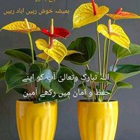 nadeemjut08