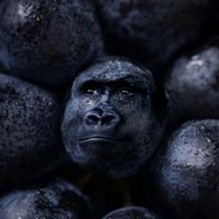 оригинальный звук