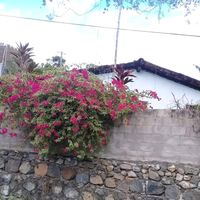 mirtareyespineda