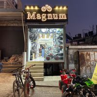 magnum3335
