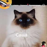 卐卐