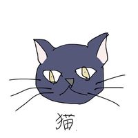 rio_hidaka