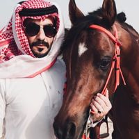 الصوت الأصلي