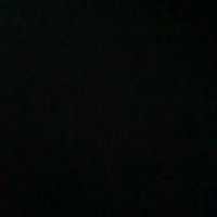 dannitapl2