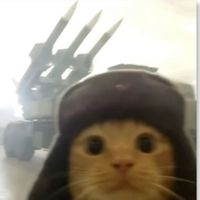 engyyhegazyy