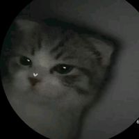 guesssbanxxqmaa