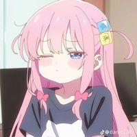 usernoung.mo