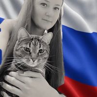 kot_s_pomoiki