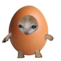 សំឡេងដើម - DJCHHLAM📸