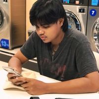 palm_933