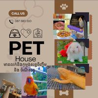 www.riktik.compethouse