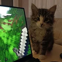 жена асхаба тамаева