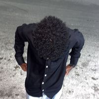 sharke266