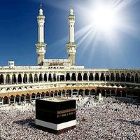 __javadows__313__