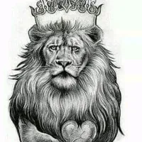 original sound - loccal7