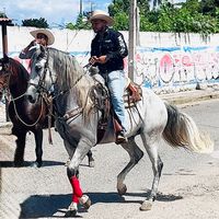 kevintellez074