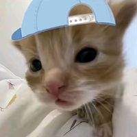 오리지널 사운드 - 나숨참을꼬야!
