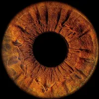 original sound - kariee_glazaa