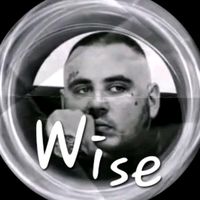 wise.fccck