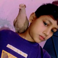 mftamimkhan222