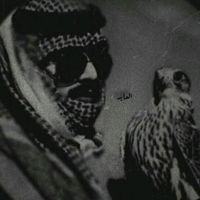 5nf_i8