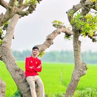 mahedi9497