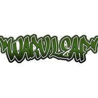 suara asli - Waru Leaf Production
