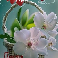 almagul4841