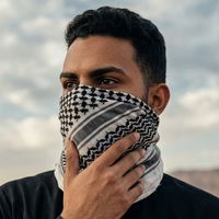 الصوت الأصلي