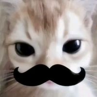 เสียงต้นฉบับ - Fc ค่ายบางแสนไฟล์คลับ🥊💞