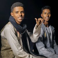 الصوت الأصلي