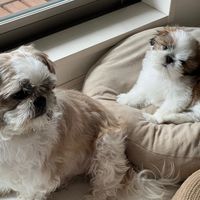 rikurikurikuriku0927