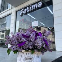fatime_zovq_dunyasi