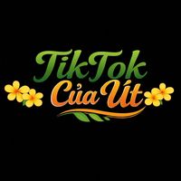 nhạc nền - TIKTOK CỦA ÚT