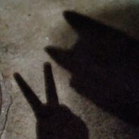 オリジナル楽曲 - 🍊🐶😽
