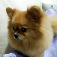 original sound - user18321306