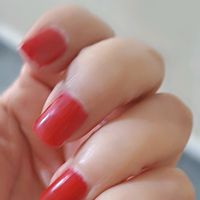 hayat_tota11