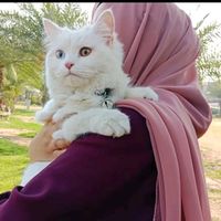 hina_abbasi786