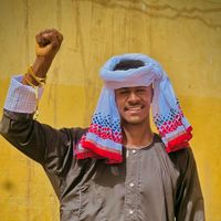 الصوت الأصلي